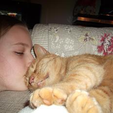 Huskat Holger (Hutte)