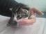 Huskat William - 2-6-12