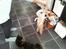 Cornish Rex Nico
