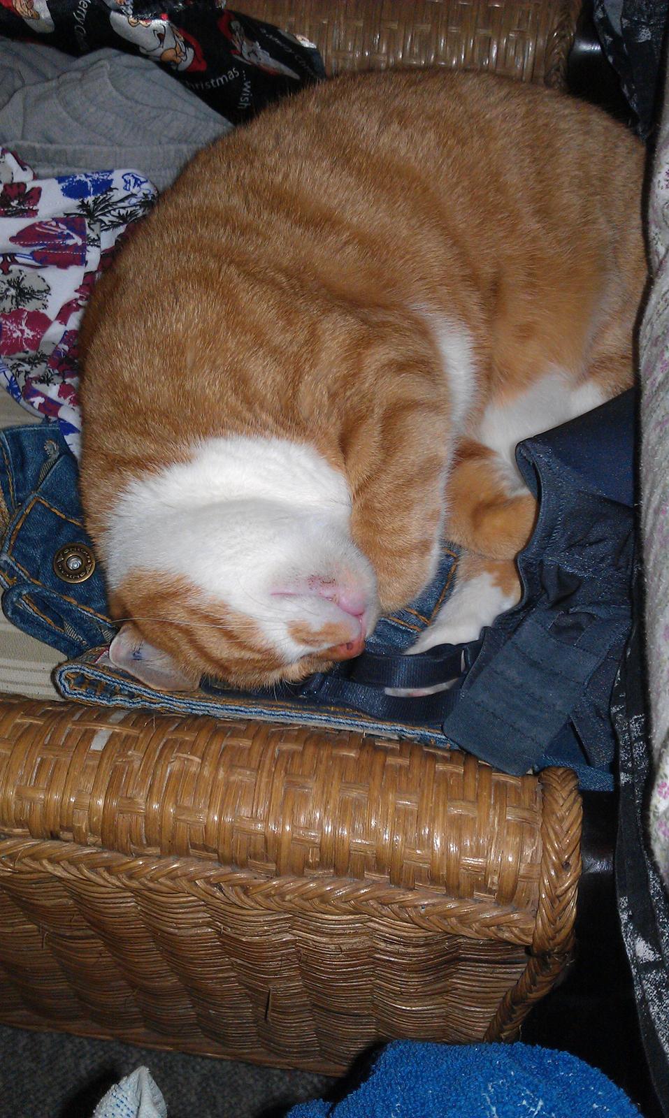 Huskat Burger billede 1