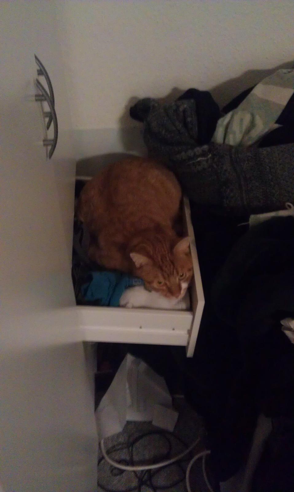 Huskat Burger billede 5