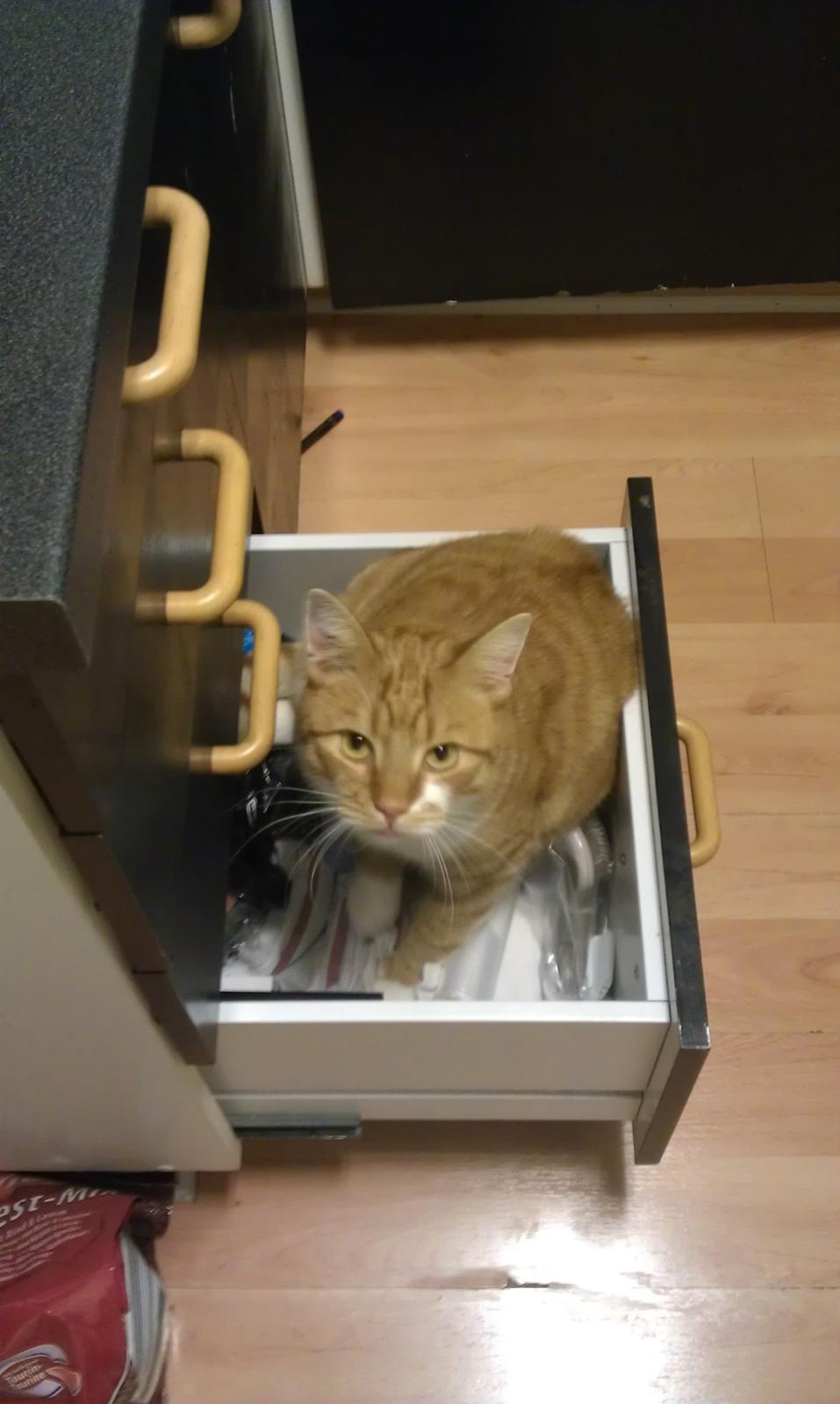 Huskat Burger billede 7