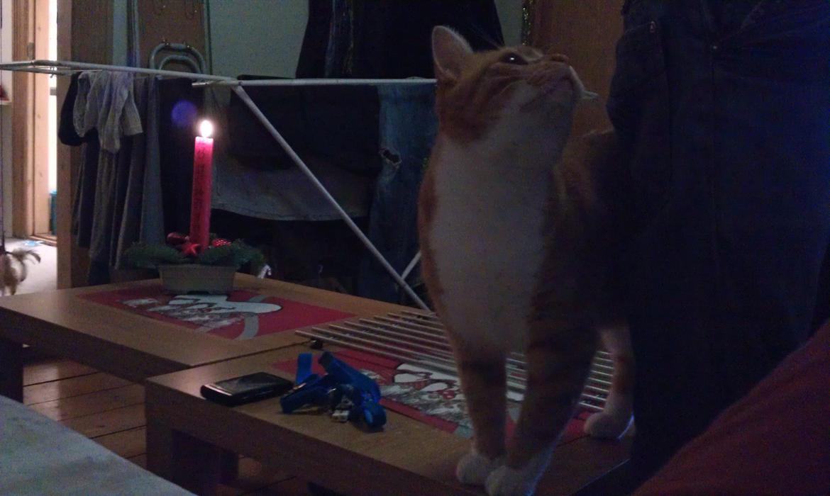 Huskat Burger billede 8