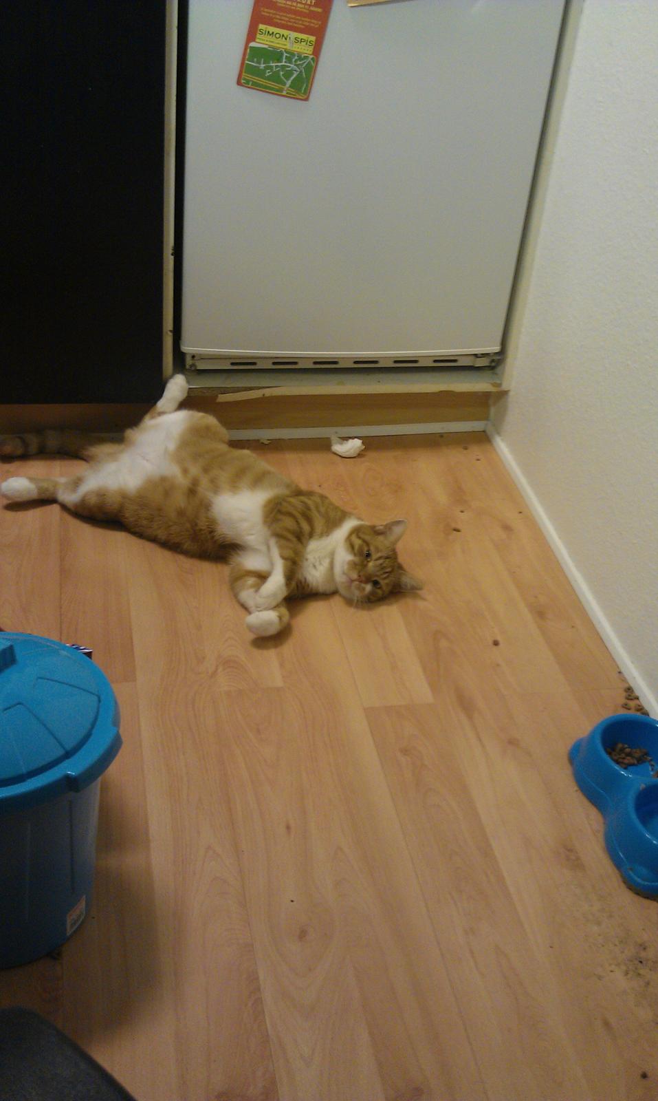 Huskat Burger billede 13