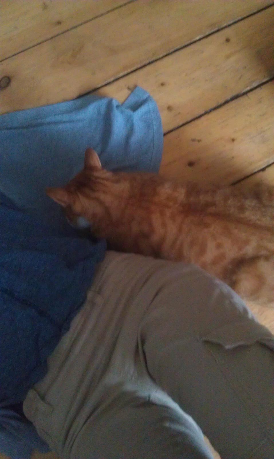 Huskat Burger billede 15