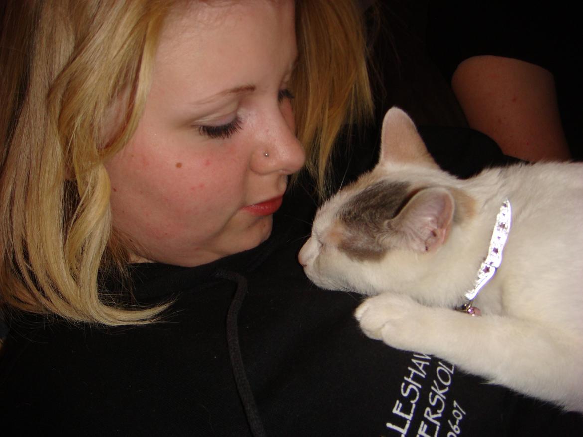 Huskat Cleo <3 billede 2