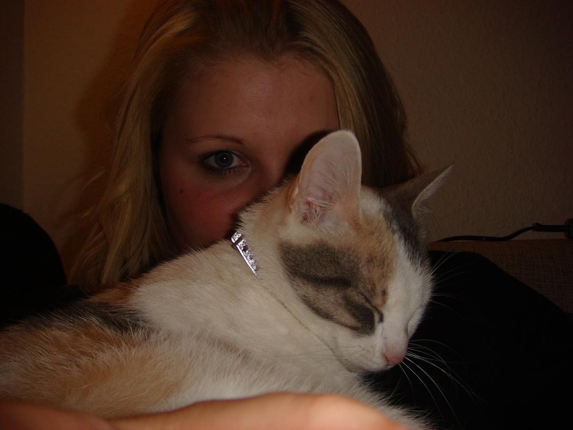 Huskat Cleo <3 billede 4