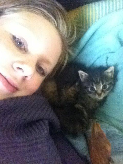 Blanding af racer Snuske/Tulle billede 2