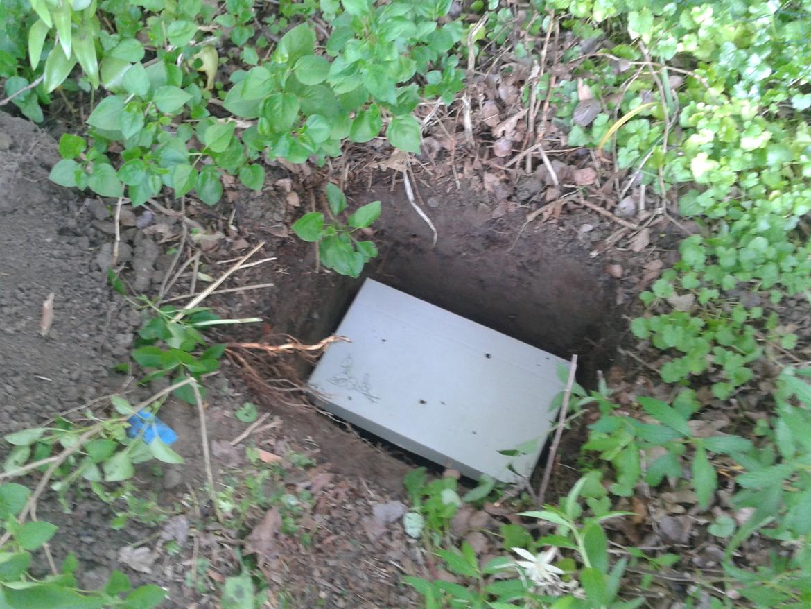 Huskat Golf billede 13