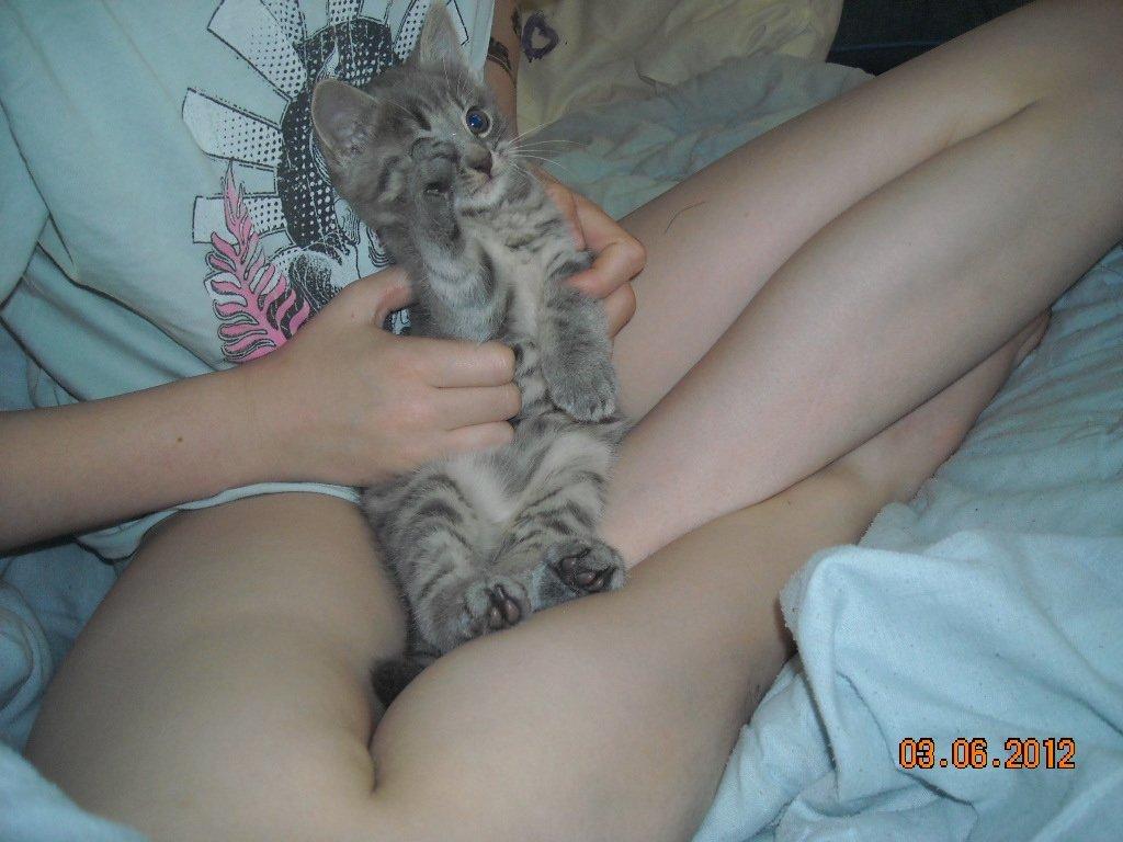 Huskat Thoth billede 5