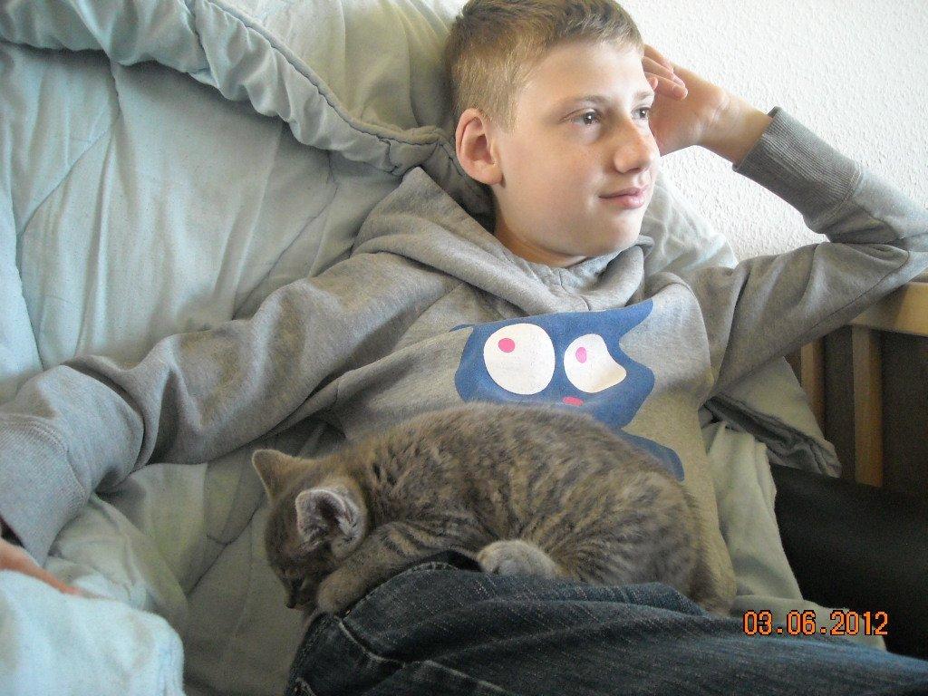 Huskat Thoth - Der slappes af foran tv'et billede 6