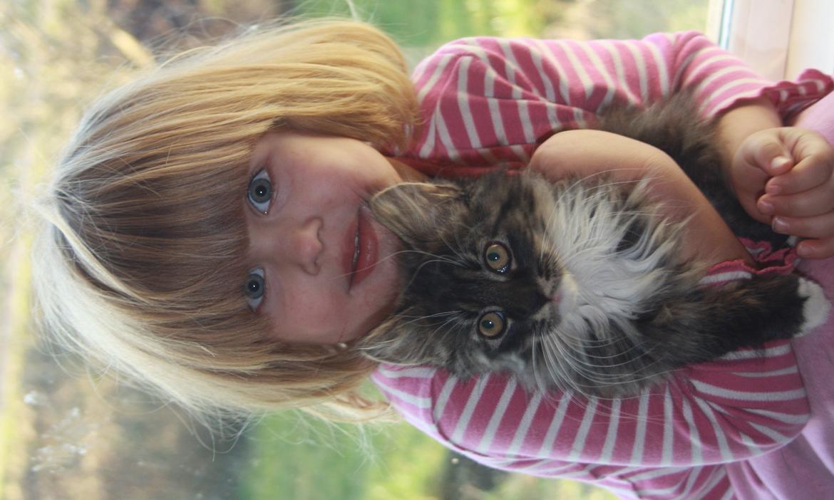 Blanding af racer Nova - Min datter og Nova billede 11