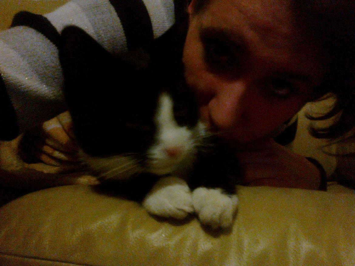 Blanding af racer Snuden billede 4