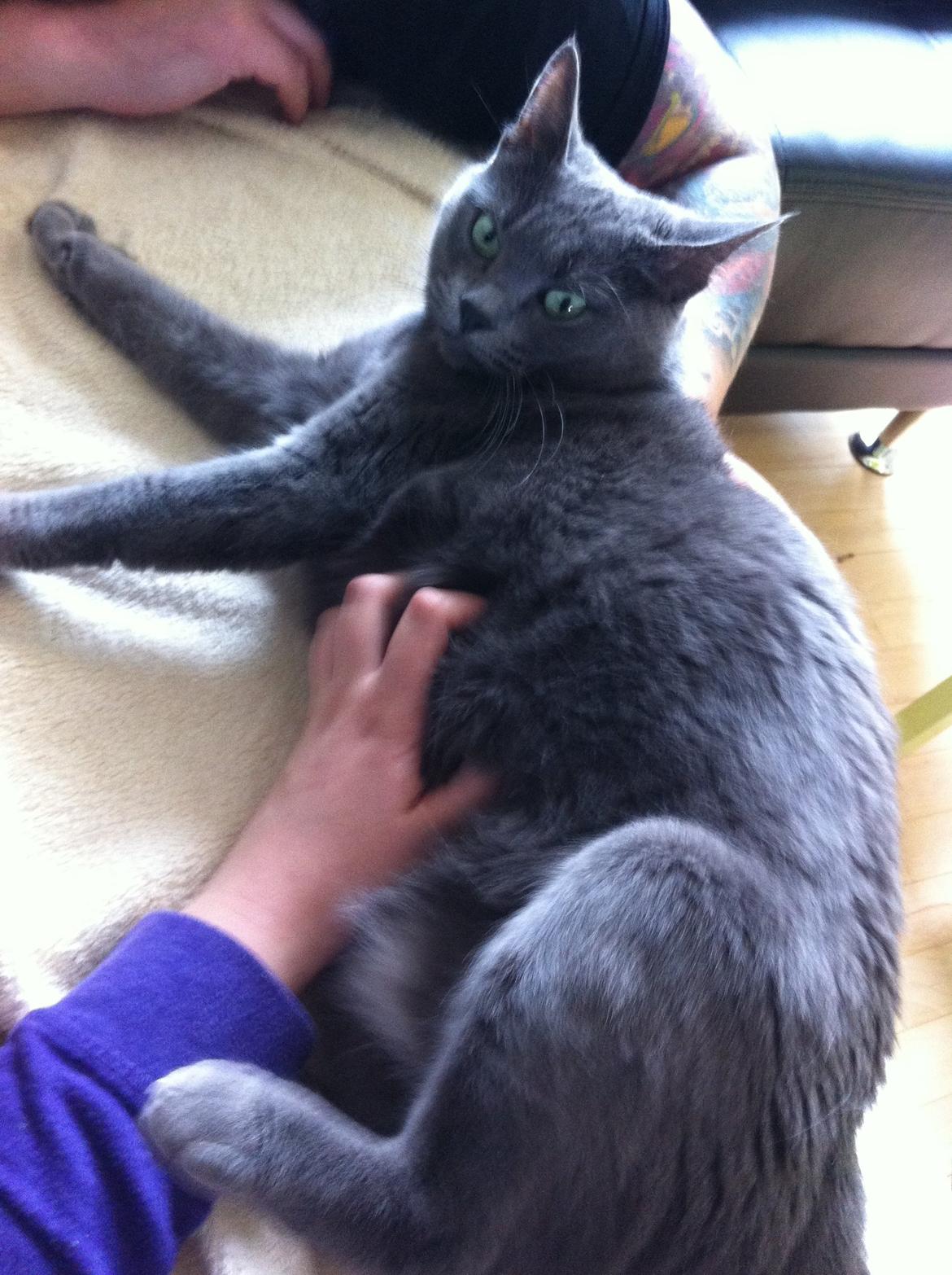 Huskat Frida billede 3