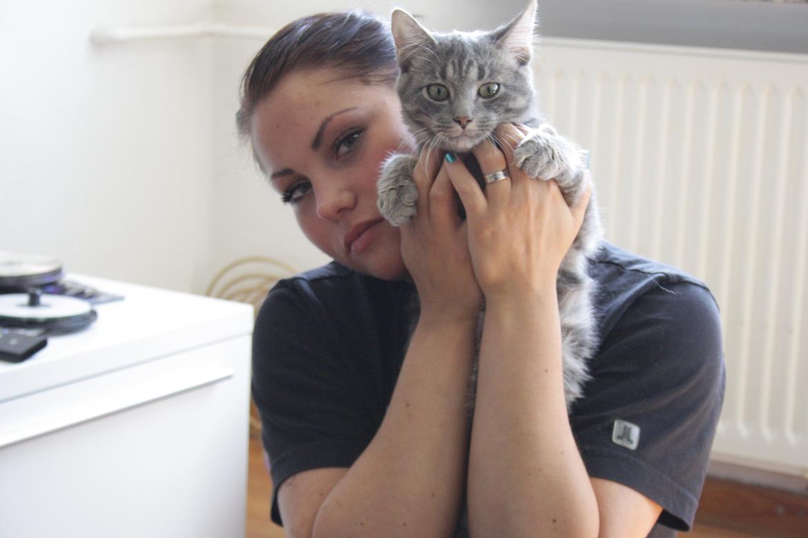 Blanding af racer Malou billede 16