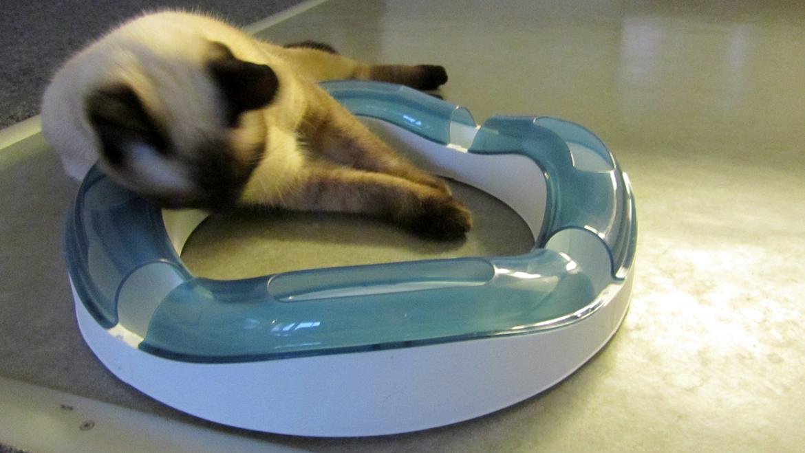 Blanding af racer Anton billede 17