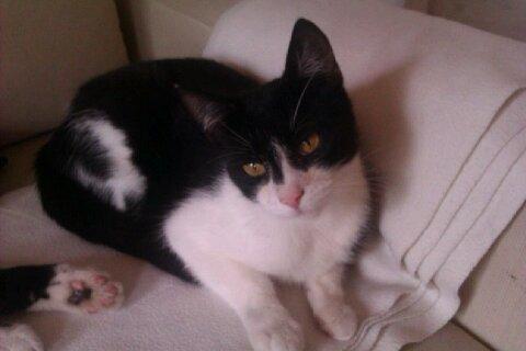 Huskat ~ Fiona † ** Sov sødt min elskede skat <3** - . billede 26