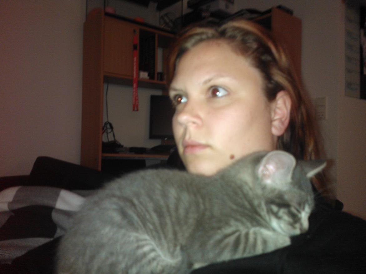 Huskat Milo billede 19