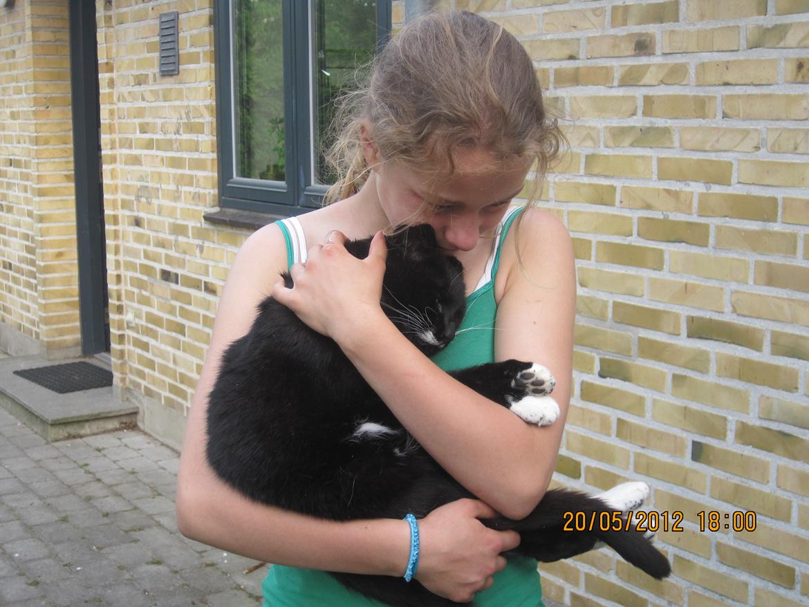 Huskat | Mosevangens Bichar {R.I.P 21/5-12} - Sidste gang jeg havde ham i min favn. Han er død på billedet. Jeg savner dig! ♥ Vi ses ved regnbuens ende, hvor jeg stadig græder!
//Fotograf: Mor billede 19