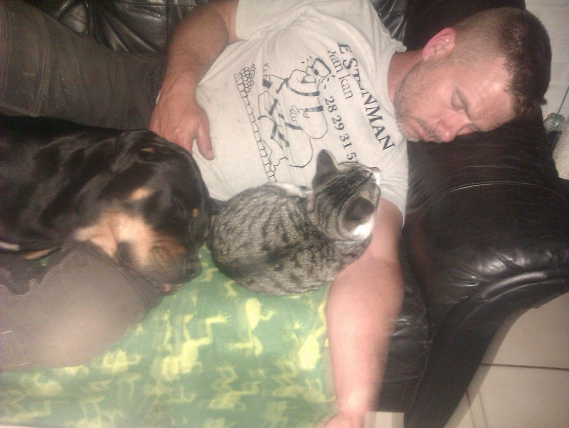 Huskat Mus - en ganske alm aften her i huset ;) billede 6