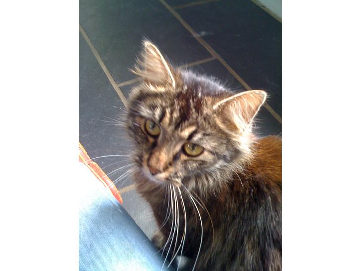 {{currentPhoto.altText}} billede {{currentPhoto.number}}