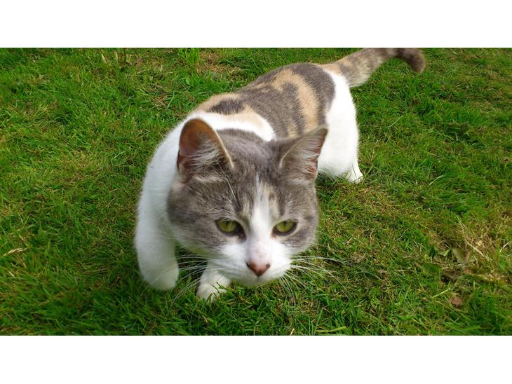 {{currentPhoto.altText}} billede {{currentPhoto.number}}