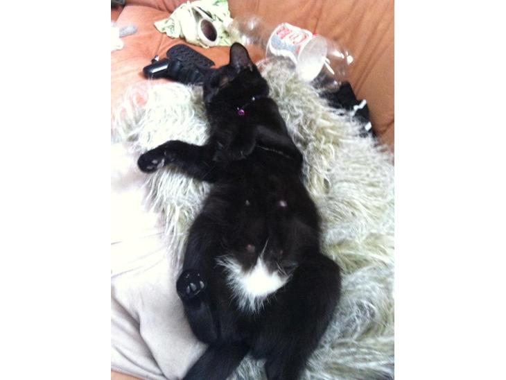 {{currentPhoto.altText}} billede {{currentPhoto.number}}