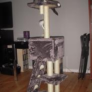 Blanding af racer Nomi