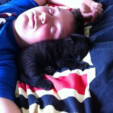 Blanding af racer Batman