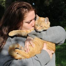 Blanding af racer Simba