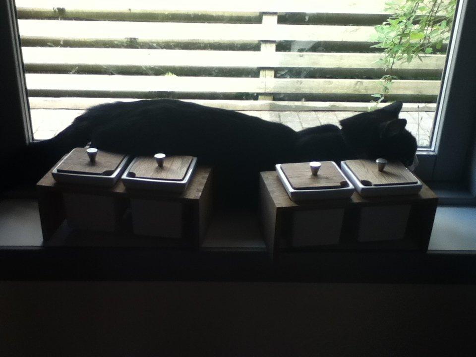 Huskat ~ Coke *Forsvundet* - hmmm.. kan lige være der, nåååhhh men hvor var det nu jeg kom fra??... nåh jo ....zzzzzZ........zzzzzzzZ......zzzzzzzZZ...... billede 14