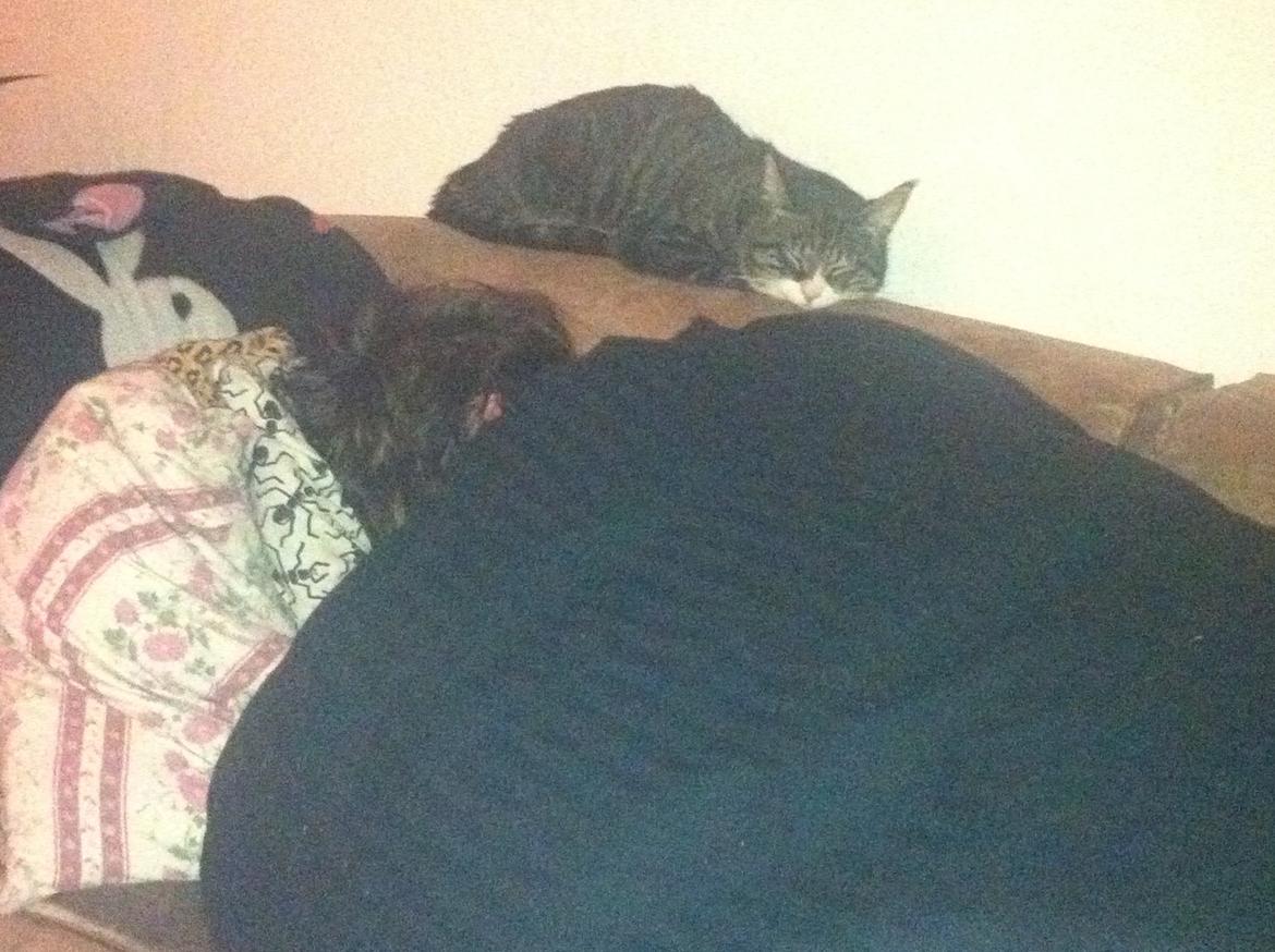 Huskat Pixi - Billedet taler vist for sig selv ;) billede 6