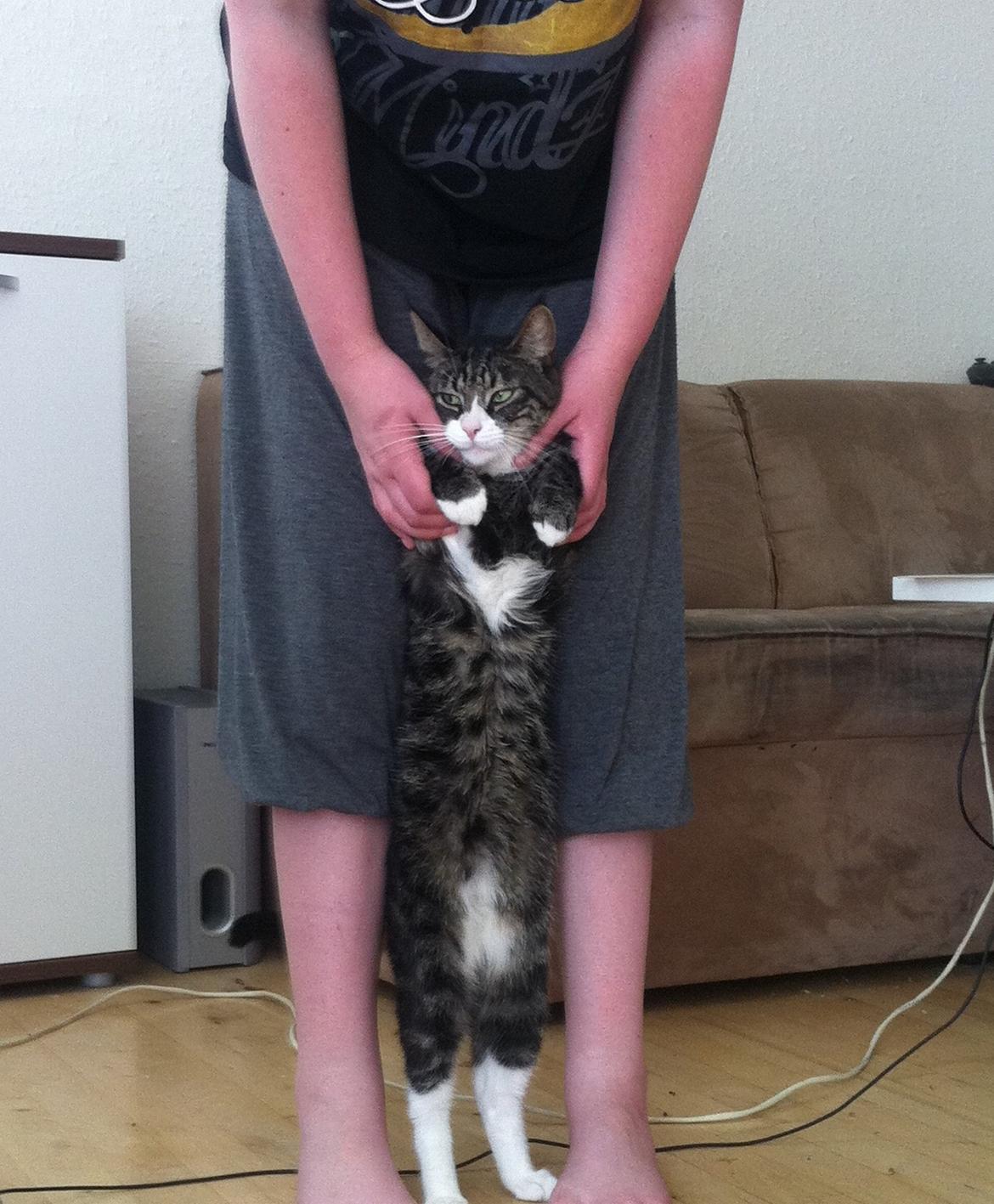 Huskat Pixi - Lidt majestætisk lang billede 1