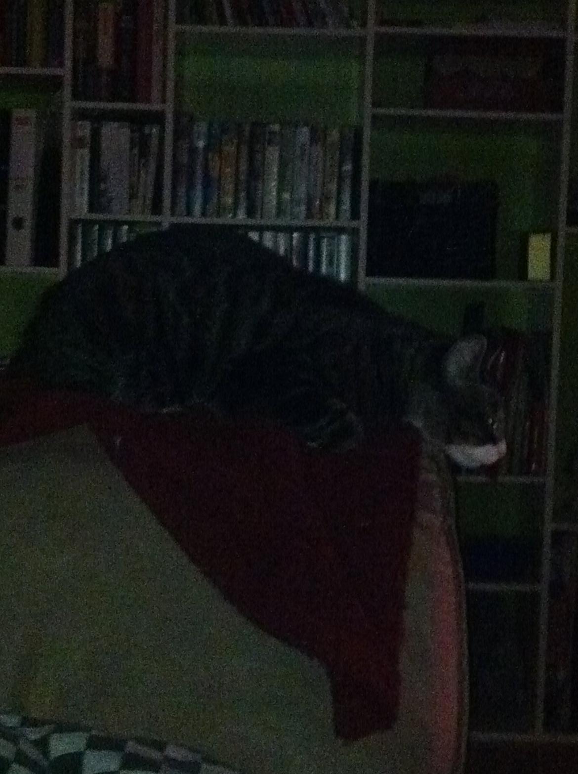 Huskat Pixi - (Han hang lige og så lidt tv) billede 7