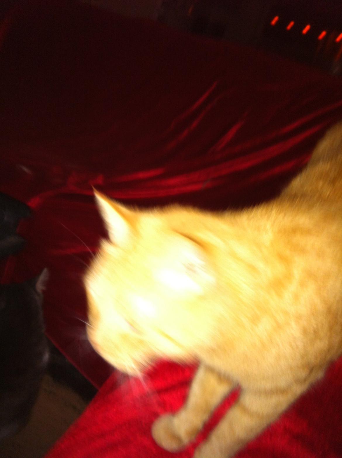 Huskat mini billede 1