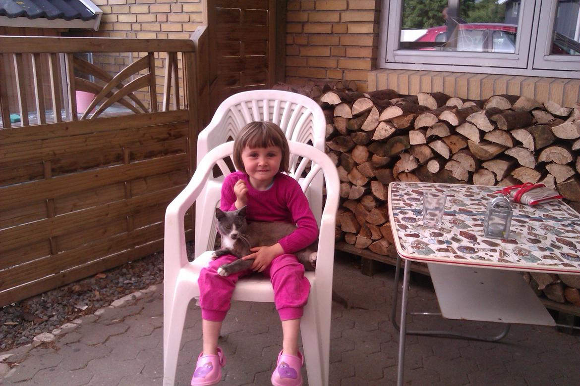 Huskat Traktor VÆK billede 2