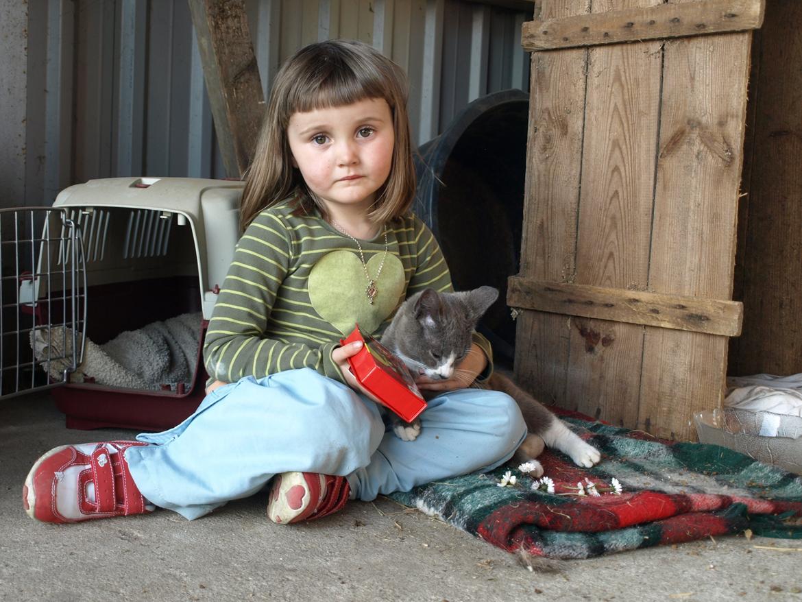 Huskat Traktor VÆK billede 10