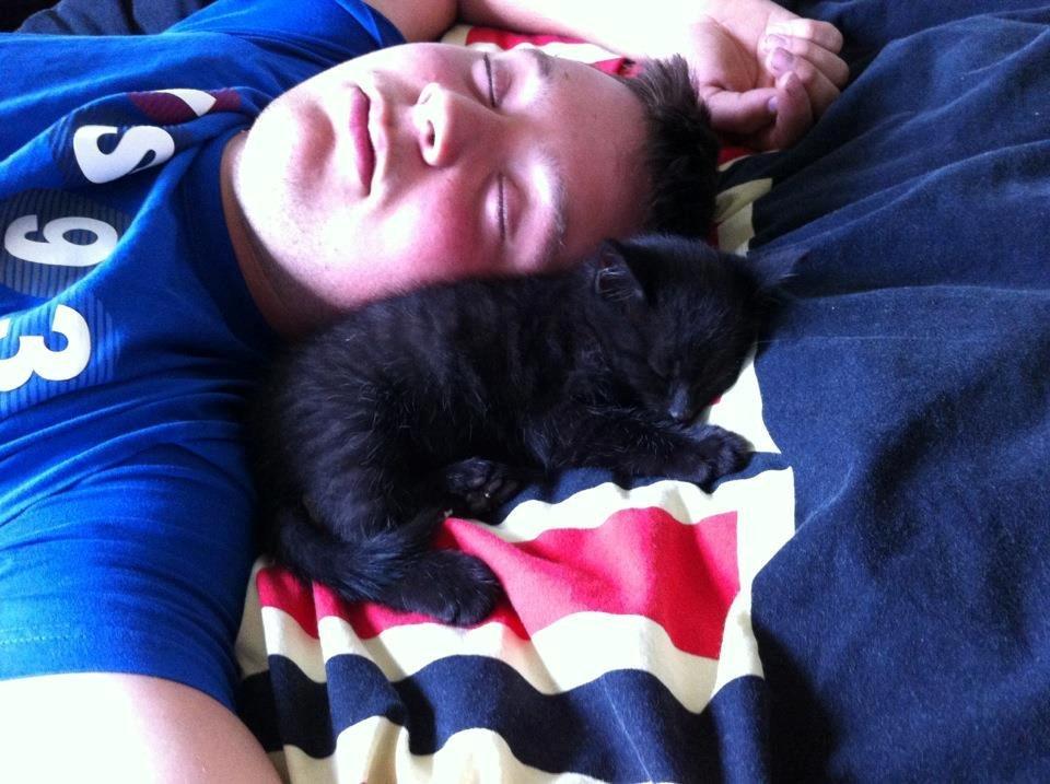 Blanding af racer Batman - Han sover trygt. billede 3