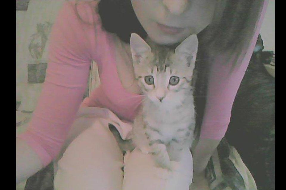 Huskat Misser - Som sagt... En meget nysgerig lille kat :P

 billede 7