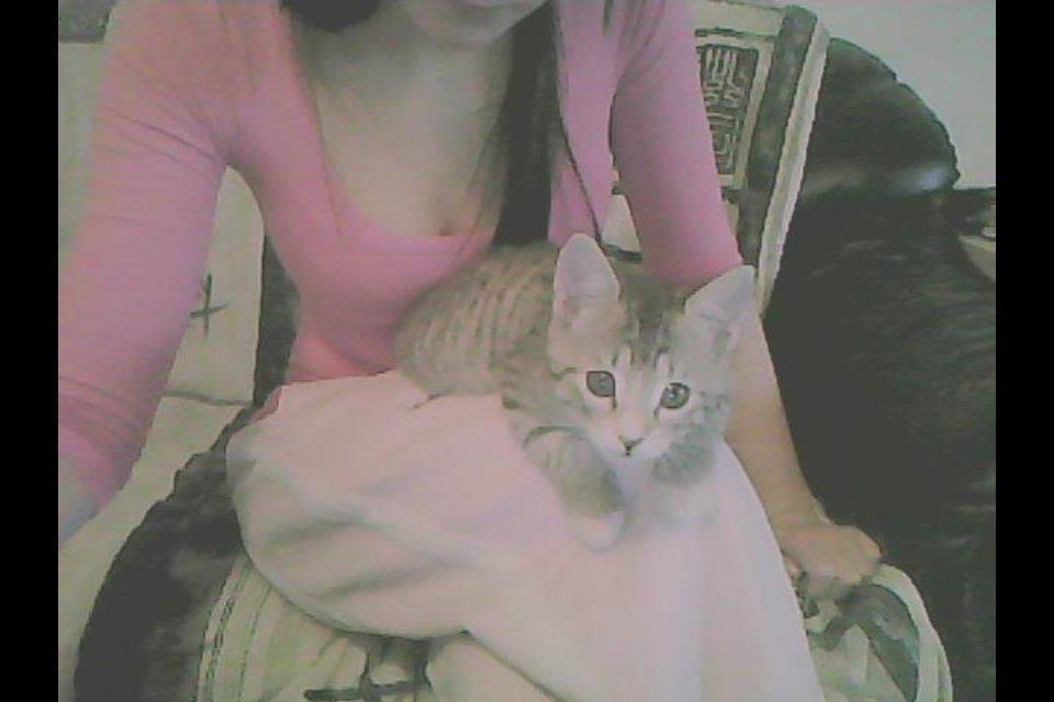 Huskat Misser - <3 billede 8