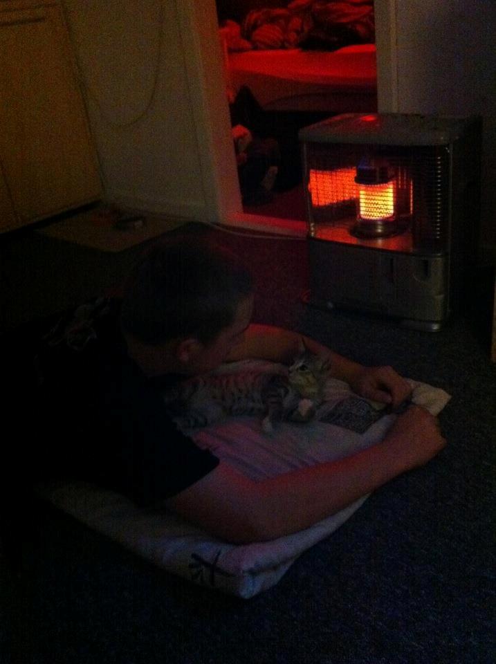 Huskat Misser - Så bliver der hygget og puttet i varmen <3 billede 4