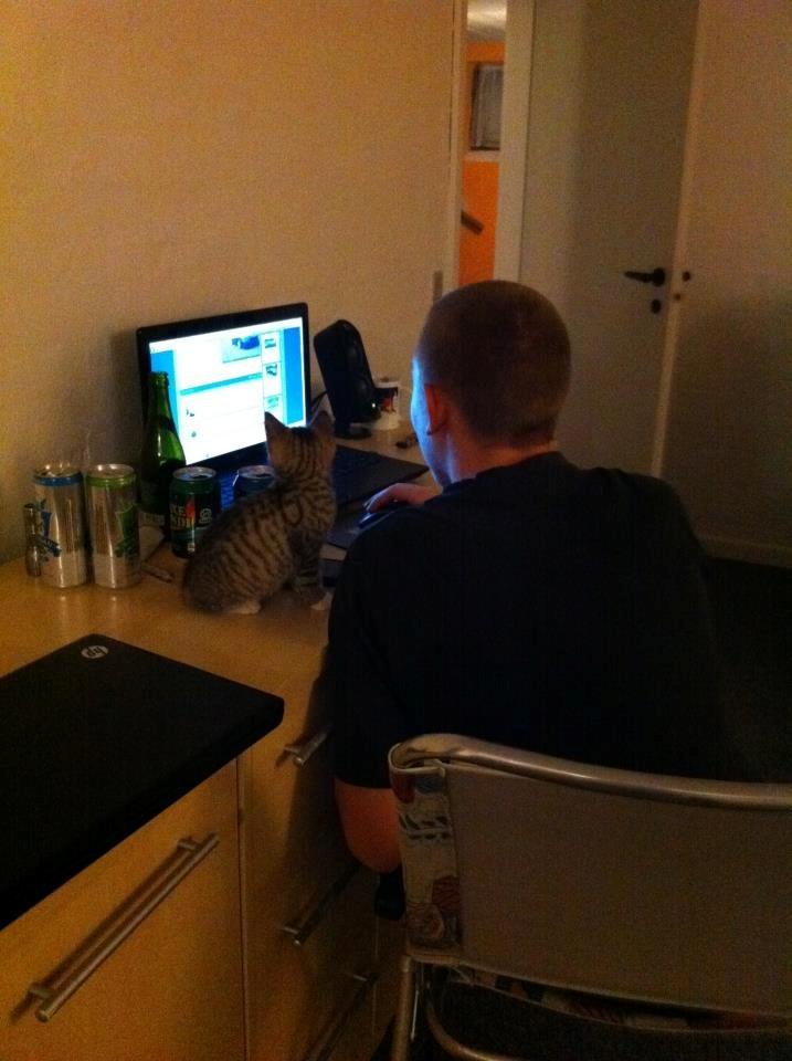 Huskat Misser - Hmm, vi skal da lige se hvad der sker :P billede 5