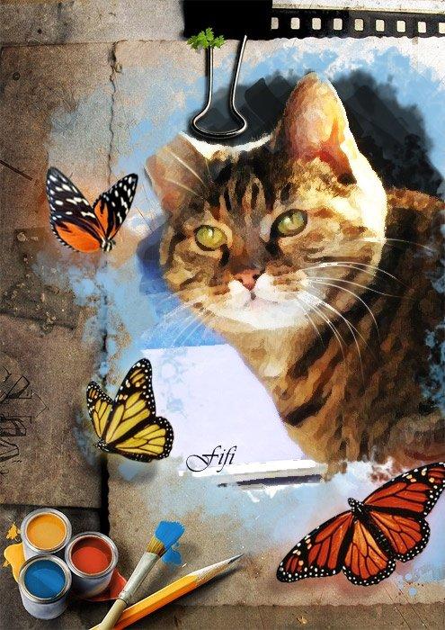 Blanding af racer Fifi billede 1