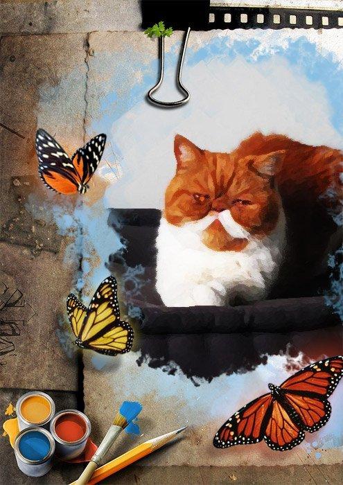 Exotic Ingolf billede 2