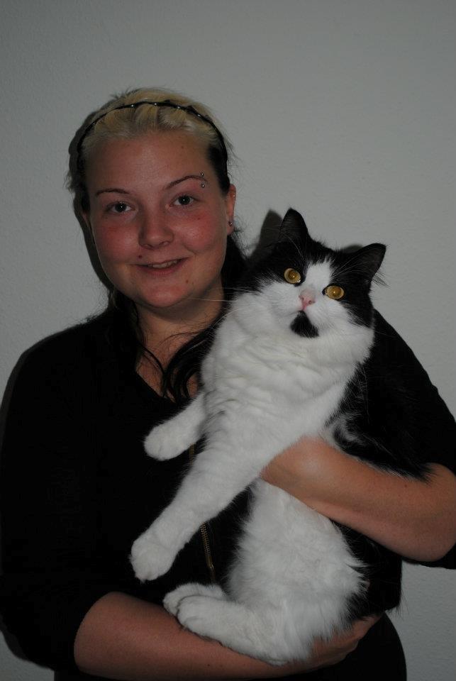 Blanding af racer Tarzan billede 6