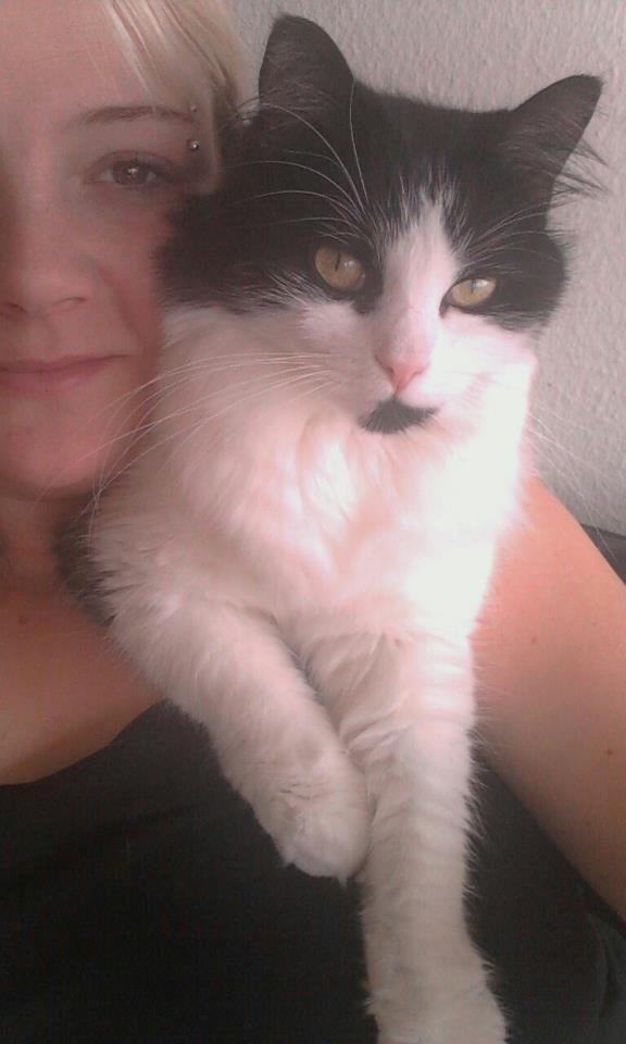 Blanding af racer Tarzan billede 12