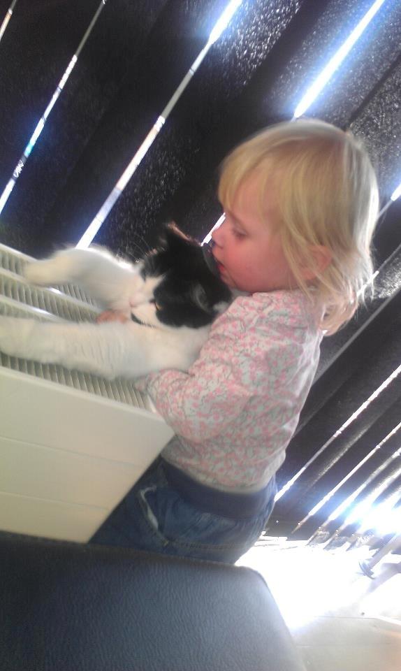 Blanding af racer Tarzan billede 15