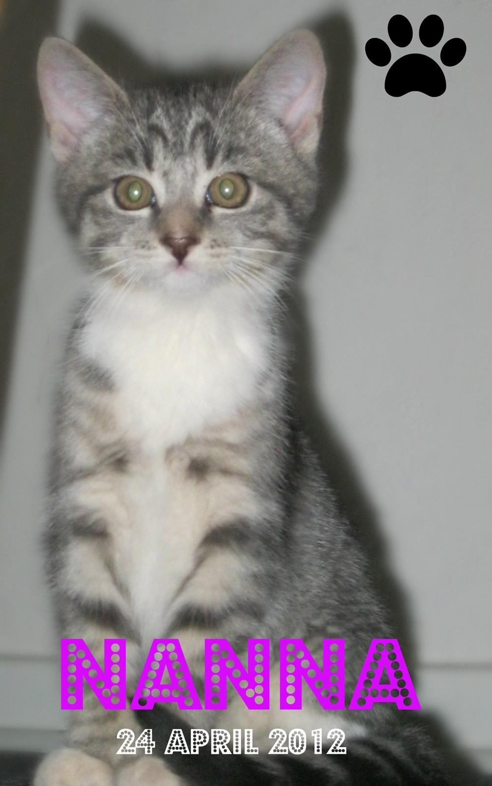 Huskat Nanna billede 1