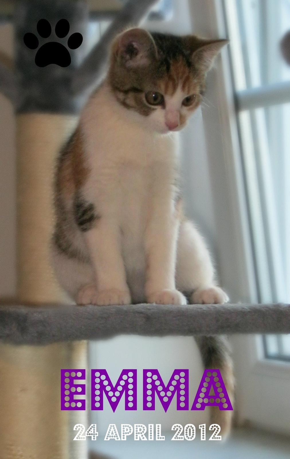 Huskat Emma billede 1