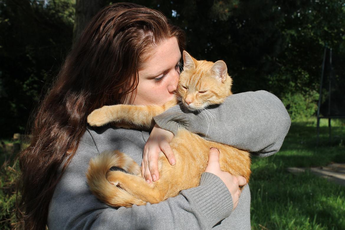 Blanding af racer Simba - Sommer 2012 billede 1